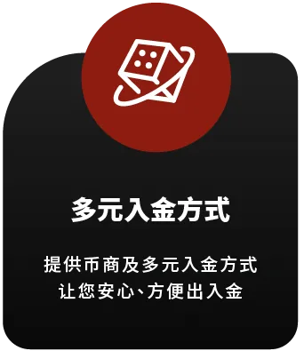 Allen扑克-多元入金方式